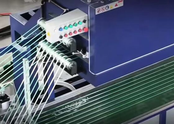 Built for Versatility: Multi-Format PET Extrusion for Production Line